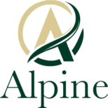alpinepromoters.in